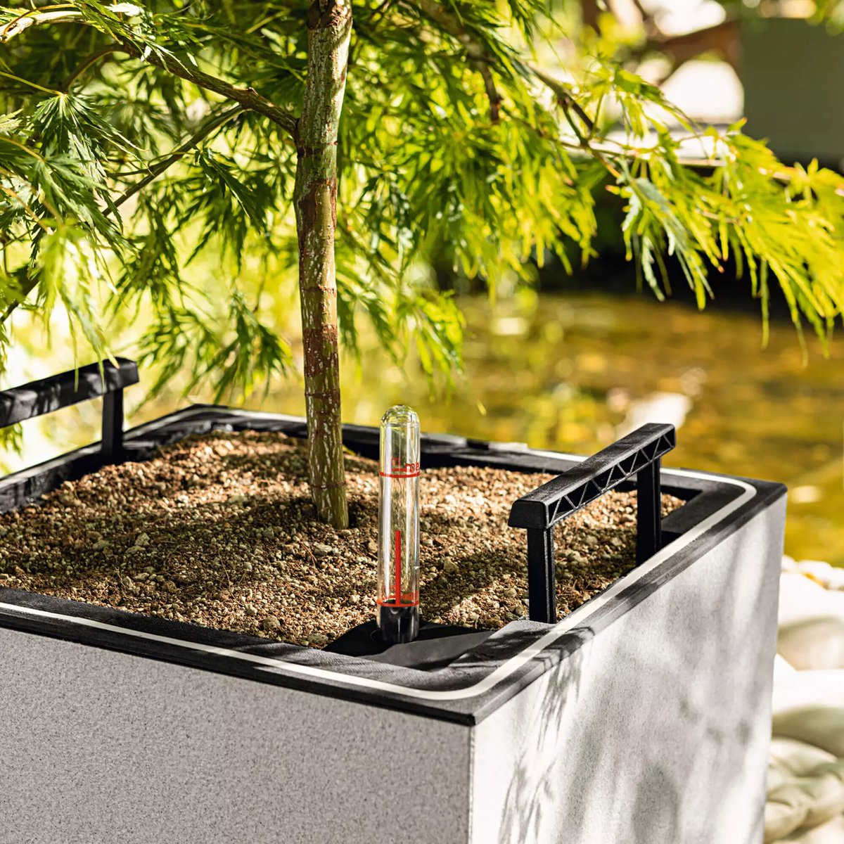 Lechuza Canto Stone 30 high LED - Planter