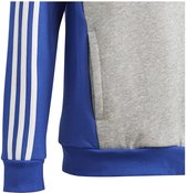 adidas Sportswear Tiberio 3-Stripes Colorblock Fleece Sweat à capuche Kids - Enfants - Blauw- 164