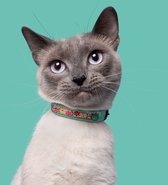 DWAM Dog with a Mission Halsband Kat – Kattenhalsband – Poezenband - Turquoise - One Size – Leer – Halsomvang tussen 20 -24 x 1,5 cm – Kitty