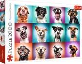 Trefl Trefl 2000 - Funny dog portraits II