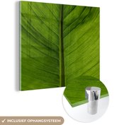 MuchoWow® Glasschilderij 90x90 cm - Schilderij acrylglas - Bladeren - Plant - Groen - Foto op glas - Schilderijen
