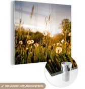 MuchoWow® Glasschilderij 90x90 cm - Schilderij acrylglas - Paardenbloemen - Gras - Zonsondergang - Foto op glas - Schilderijen
