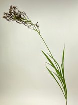 Zijden kunstbloem Pampas Gras | Bruin | Lengte 95 centimeter