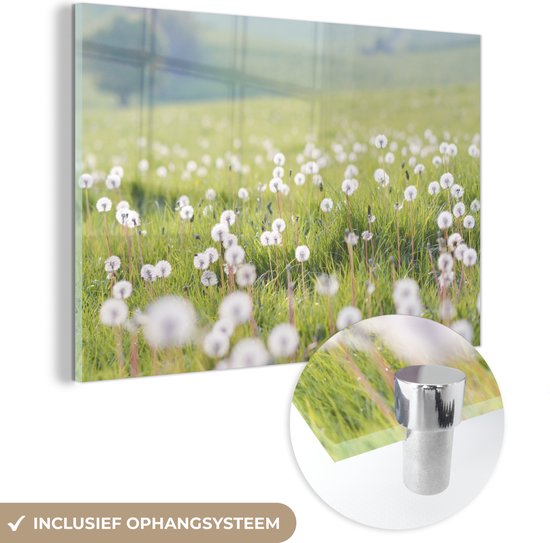 MuchoWow® Peinture sur verre - Printemps - Pissenlit - Couleurs - 180x120 cm - Peintures sur verre acrylique - Photo sur Glas