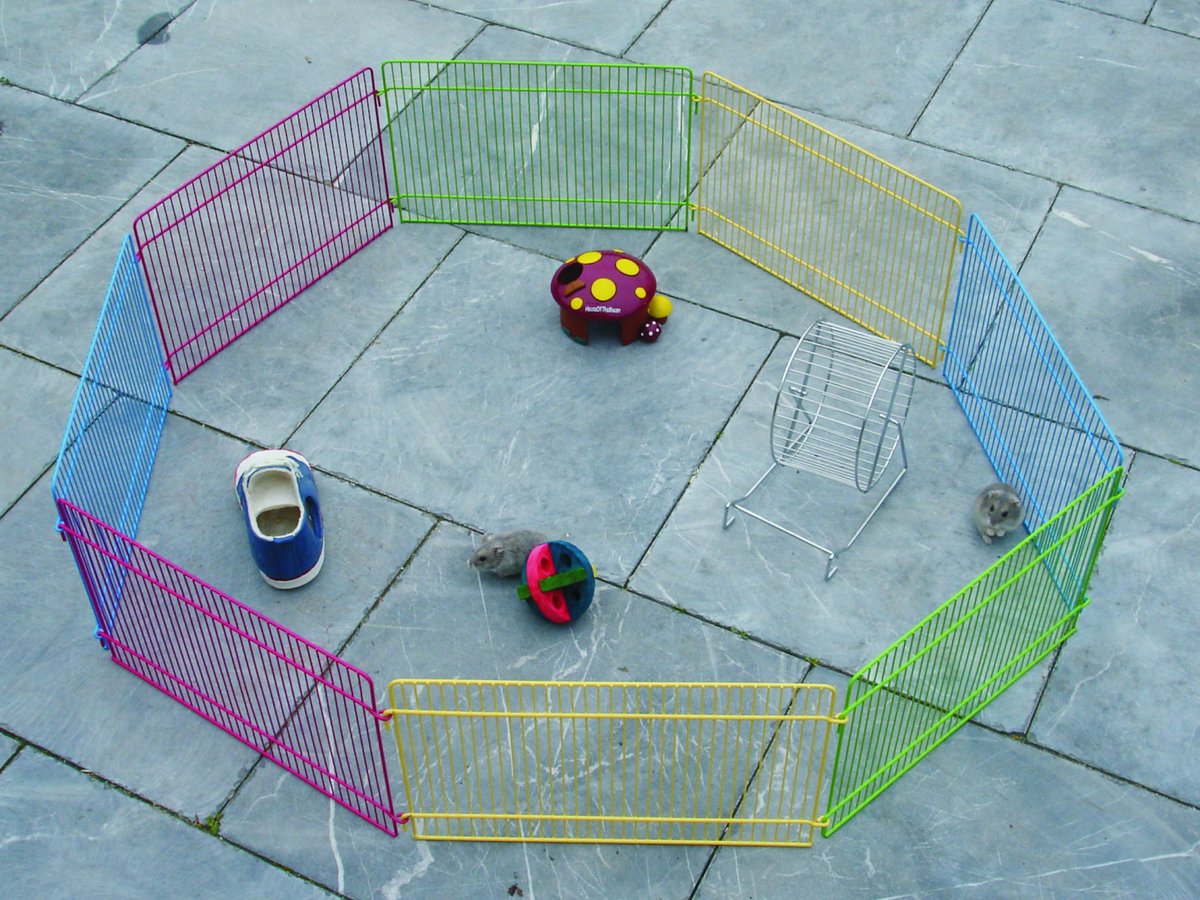Konijnenren – knaagdierren – Flamingo Ren Meerkleurig – Ø84,5cm hoogte 23cm – 8 panelen – metaal – 1 deur met haaksluiting – opvouwbaar – voor kleine knaagdieren – binnen en buiten thumbnail 4