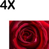 BWK Textiele Placemat - Close-Up - Rode Roos - Bloem - Set van 4 Placemats - 35x25 cm - Polyester Stof - Afneembaar