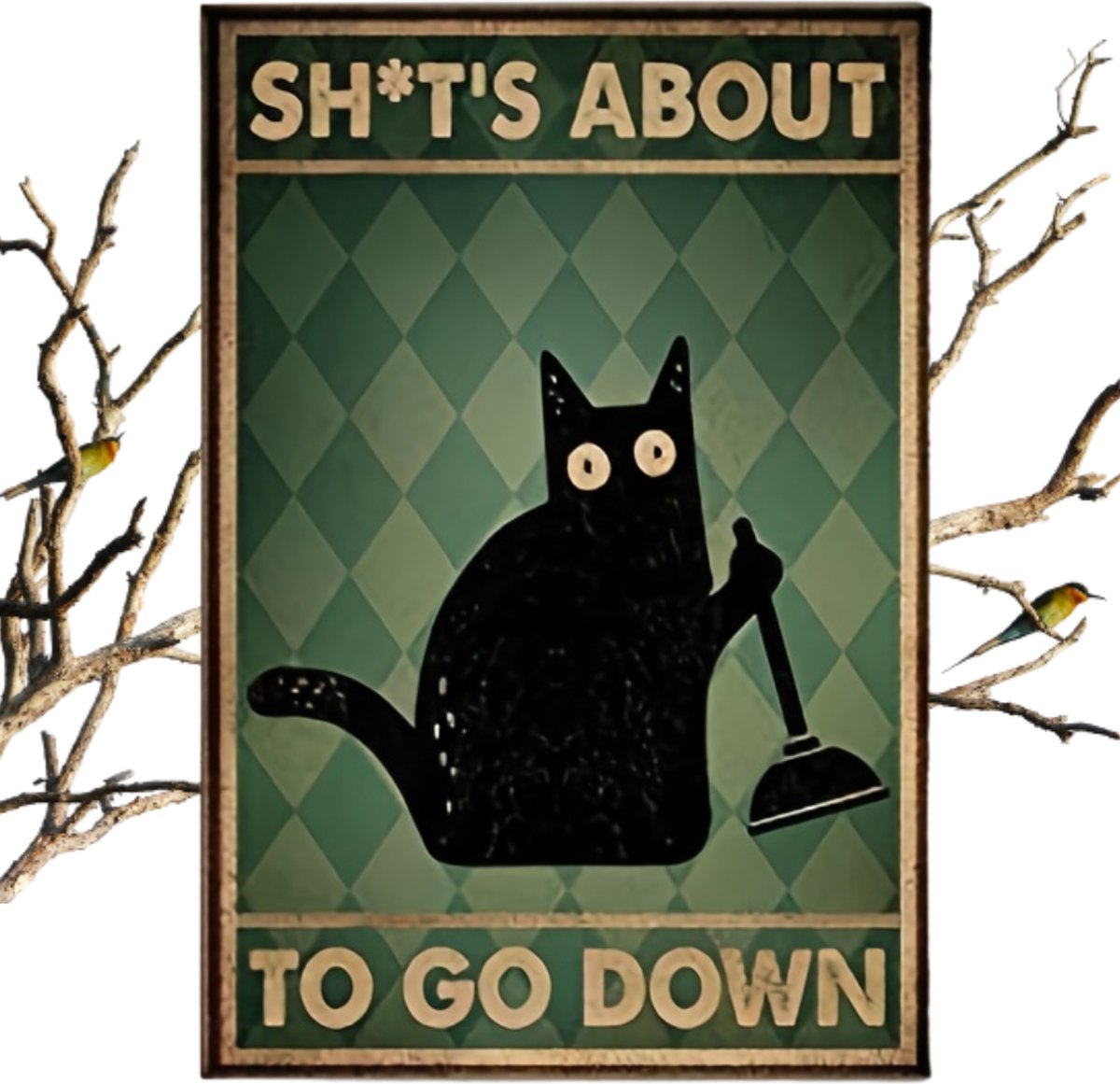 Livano Are You Pooping Cat - Are You Pooping - Have A Nice Poop - Your Butt Napkins My Lord - Shit's About To Go Down - Grappige Poster - 20x30cm
