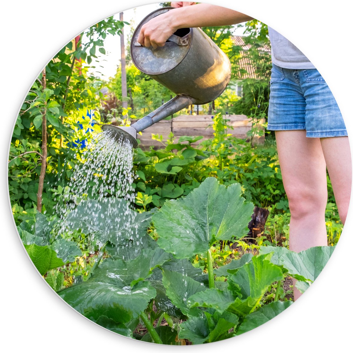 PVC Schuimplaat Muurcirkel - Tuin - Bloemen - Planten - Gieter - Water - Groen - 60x60 cm