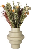 Plant in a Box - Boeket 'Marokkaanse Nachten' - Droogbloemen - Helichrysum, Bezembloei, Papaver - hoogte 50 cm
