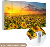 Glasschilderij - Foto op glas - Zonnebloem - Bloemen - Veld - Geel - Acrylplaat - Glasschilderij bloemen - Schilderij natuur - 80x40 cm - Acrylglas - Wanddecoratie - Muurdecoratie