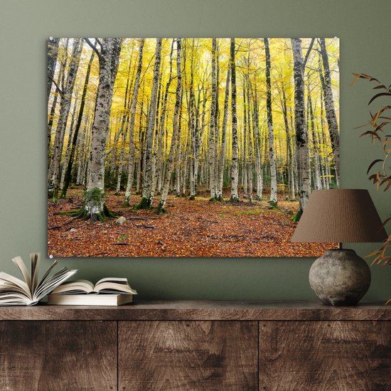 Feuilles jaunes dans la forêt en automne Glas 90x60 cm - Tirage photo sur Glas (Décoration murale en plexiglas)