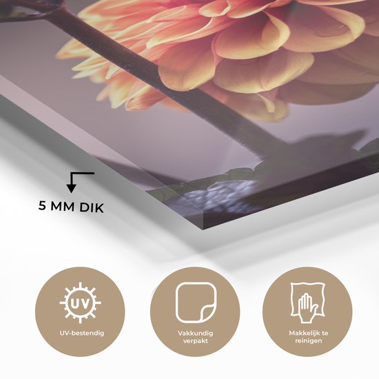 MuchoWow® Peinture sur verre - Fleurs - Chrysanthème - Macro - Plantes - 80x120 cm - Peintures sur verre acrylique - Photo sur Glas