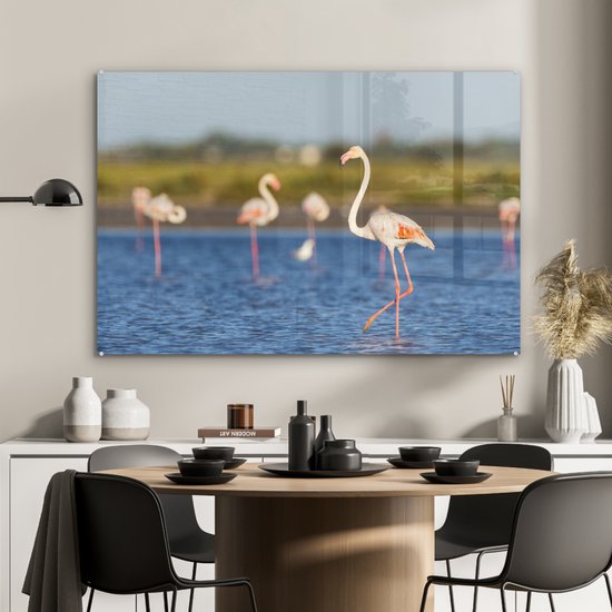 Glasschilderij - Een groep flamingo's in het water - Plexiglas Schilderijen