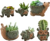 6 Mini Uil Olifant Succulente Potten met Afvoergat, Schattige Dieren Keramische Succulente Plantenbak Set voor Bonsai, Kleine Bloempot, Woondecoratie, Tuin, Binnen, Buiten