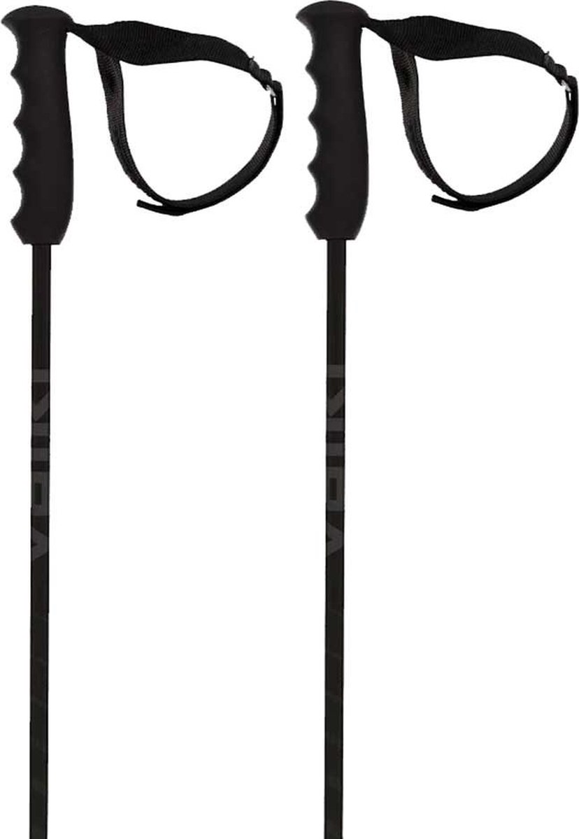 Volkl Speedstick Stokken Zilver 120 cm
