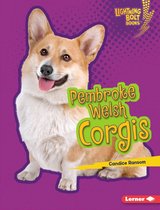 Lightning Bolt Books ® — Who's a Good Dog? - Pembroke Welsh Corgis