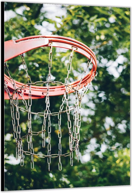 Dibond – Basketbalnet– 60x90cm Foto op Aluminium (Met Ophangsysteem)