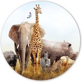 Wooncirkel - Safari (⌀ 30cm)