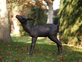 Tuinbeeld - bronzen beeld - Hertje - 64 cm hoog