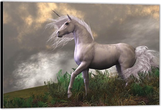 Dibond –Witte Unicorn op Berg– 60x40 Foto op Aluminium (Wanddecoratie van metaal)