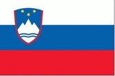 Vlag Slovenie 50x75cm