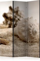 Kamerscherm - Scheidingswand - Vouwscherm - Beach and shell [Room Dividers] 135x172 - Artgeist Vouwscherm