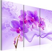 Schilderijen Op Canvas - Schilderij - Ethereal orchid - violet 120x80 - Artgeist Schilderij