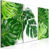 Schilderijen Op Canvas - Schilderij - Palm Leaves (3 Parts) 120x60 - Artgeist Schilderij