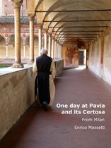 One Day at Pavia and Its Certosa From Milan
