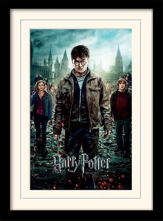 Poster - Harry Potter Mounted & Deathly Hallows Part - 40 X 30 Cm - Multicolor