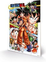 DRAGON BALL Z - Comic Strip Panels - Houten wandbord 40X59