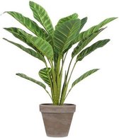 Lichtgroene Calathea kunstplant 38 cm in bruine plastic pot - Kunstplanten/nepplanten