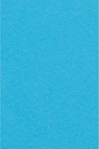 Lichtblauw Tafelkleed Plastic 274x137cm