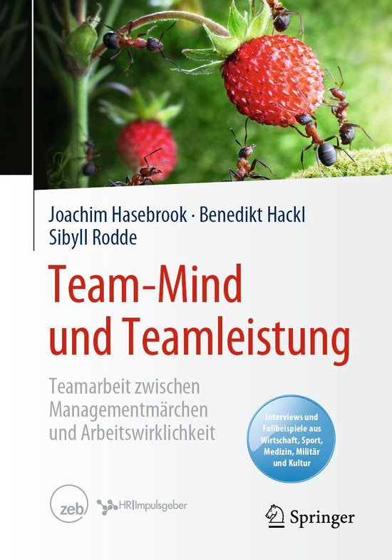Psychology (German Language) - Team-Mind und Teamleistung - cover