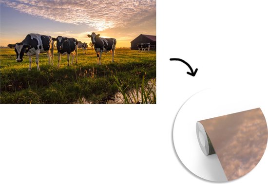 Papier peint - Papier peint photo Vache - Animal - Pâturage - Largeur 390 cm x hauteur 260 cm
