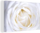 Toile Peinture Rose - Wit - Bloem - 60x40 cm - Décoration murale
