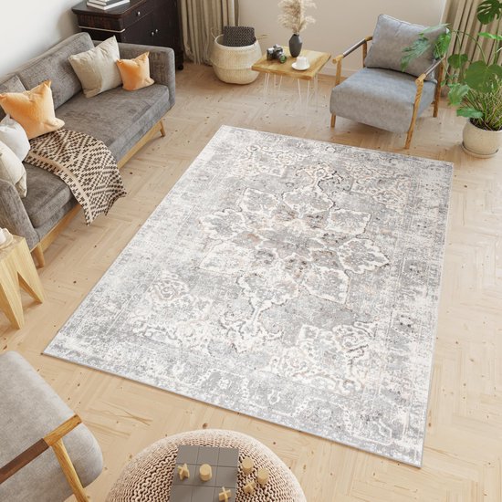 Tapiso Valley Rug Salon Chambre Gris Clair Cadre Design Moderne Fleurs Durable Vintage Haute Qualité Tapis Taille - 120x170