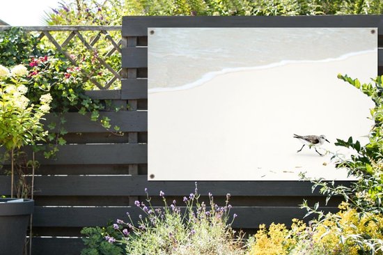 Tuinposter 120x80 cm - Tuindecoratie Strand - Vogels - Zee - Poster voor in de tuin - Buiten decoratie - Schutting tuinschilderij - Tuindoek muurdecoratie - Wanddecoratie balkondoek