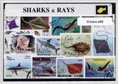 Haaien & Roggen – Luxe postzegel pakket (A6 formaat) - collectie van verschillende postzegels van haaien & roggen – kan als ansichtkaart in een A6 envelop. Authentiek cadeau - kado