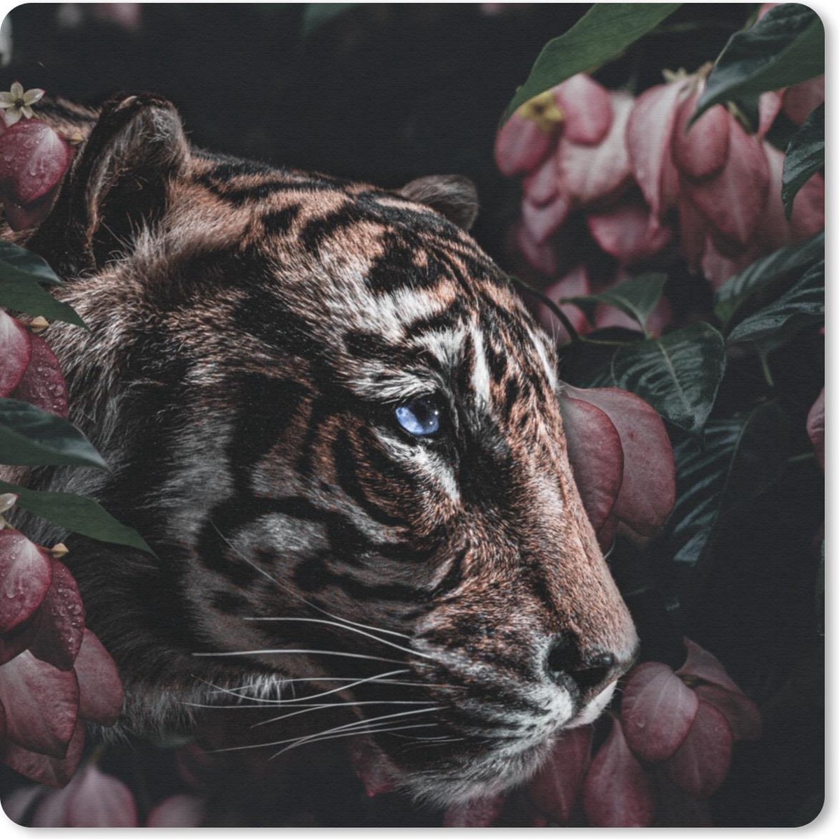 Muismat 20x20 cm - Mousepad Tijger - Bloemen - Plant - Muismatten