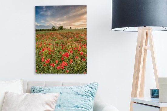 Peintures sur toile Coquelicots - Nuages - Herbe - 30x40 cm - Décoration murale