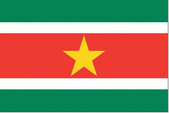 Drapeau Surinam 70x100cm