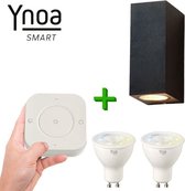 Ynoa slimme buitenverlichting Cannes - Zwart - Inclusief afstandsbediening - Zigbee 3.0 - CCT diverse wittinten instelbaar - IP54 - Smart wandlamp voor binnen en buiten