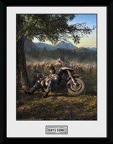 Days Gone: Key Art Collector Print