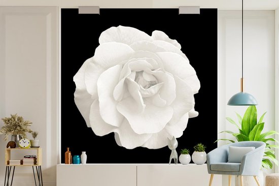 Papier peint - Papier peint photo peint Rose - Zwart - Wit - Largeur 280 cm x hauteur 280 cm