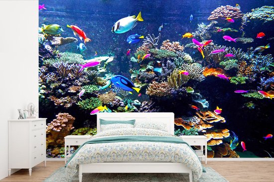 kruising trui perzik Behang - Fotobehang Koraal - Vis - Aquarium - Breedte 420 cm x hoogte 280  cm | bol.com