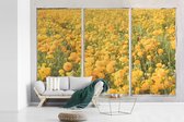 Behang - Fotobehang Doorkijk - Bloemen - Geel - Breedte 600 cm x hoogte 400 cm