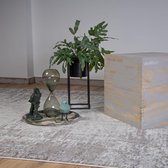 Modern laagpolig vloerkleed Phoenix - Taupe - 80x150 cm