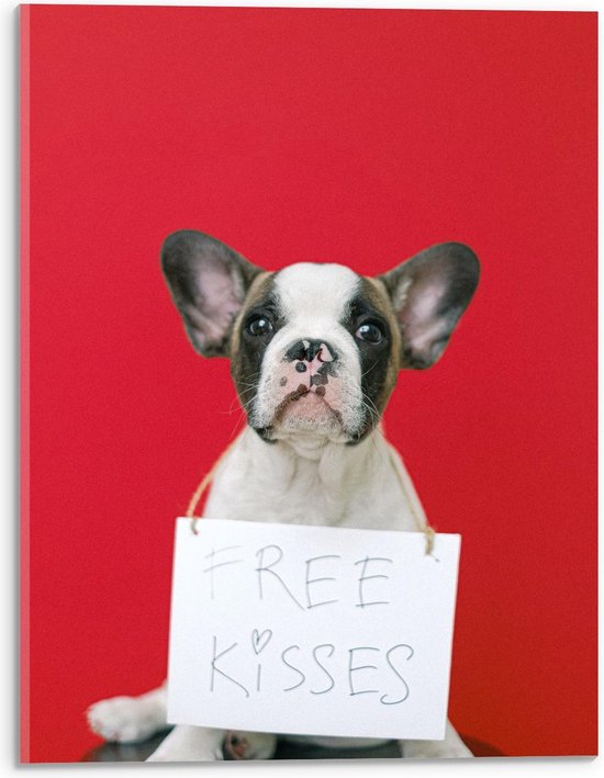Acrylglas - Bulldog op Rode Achtergrond met ''Free Kisses'' Bord - 30x40cm Foto op Acrylglas (Met Ophangsysteem)