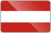 Vlag gemeente Hoorn - 70 x 100 cm - Polyester